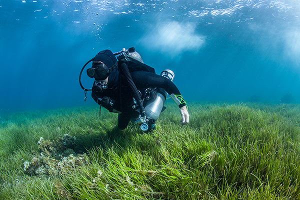 Scuba diver surveys the ocean floor